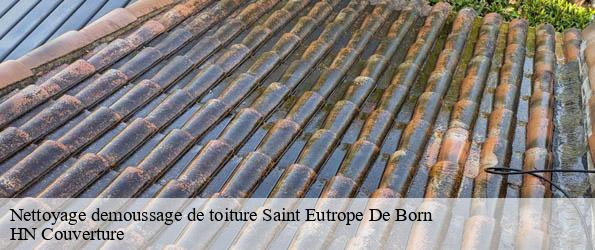 Nettoyage demoussage de toiture