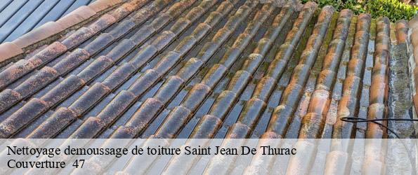 Nettoyage demoussage de toiture