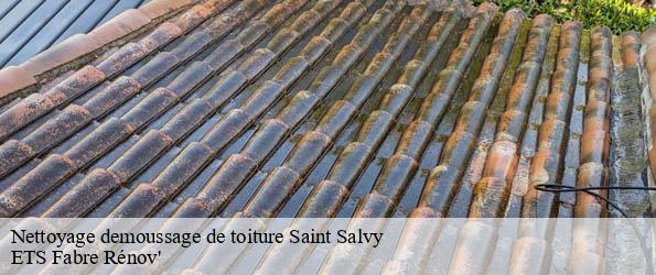 Nettoyage demoussage de toiture