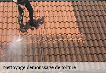 Nettoyage demoussage de toiture