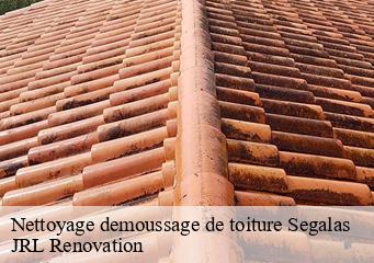 Nettoyage demoussage de toiture