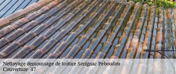 Nettoyage demoussage de toiture