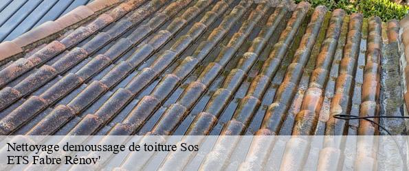 Nettoyage demoussage de toiture