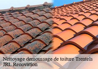 Nettoyage demoussage de toiture