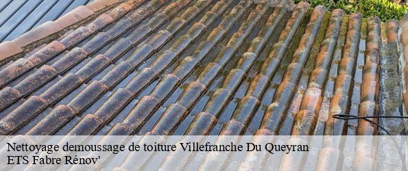 Nettoyage demoussage de toiture