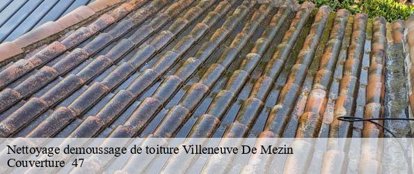 Nettoyage demoussage de toiture