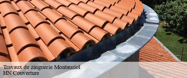 Travaux de zinguerie