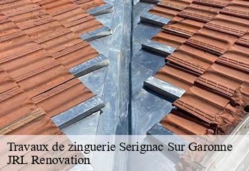 Travaux de zinguerie